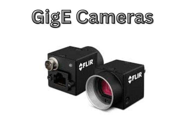 GigE Cameras